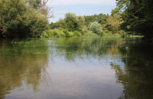 ČAROBNA ŠUMA ***(magic forest) - Foto 26