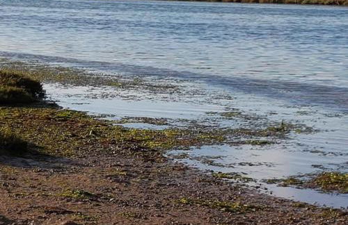 Casa do Canto - Uma casa no campo, perto da praia. - Foto 24