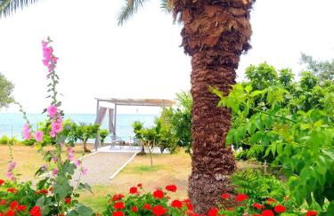 Villa Stella Family House - Foto 28