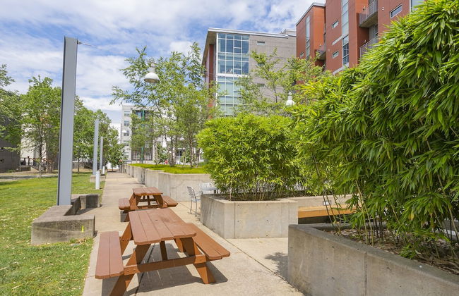 Unfurnished Condo | Amazing Layout with Balcony and In-building Storage Unit - Foto 39