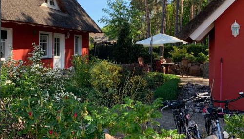 Strandhaus Usedom - Foto 3