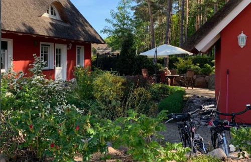 Strandhaus Usedom - Foto 3