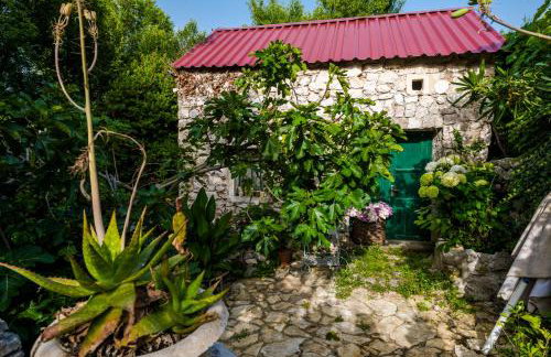 Villa Frane - Photo 70