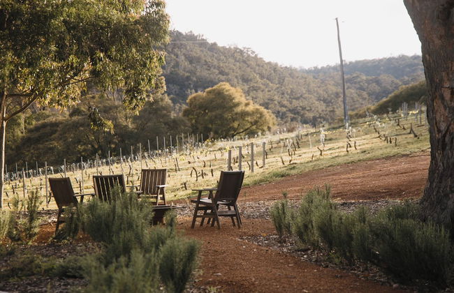 Ampersand Estates - Photo 18