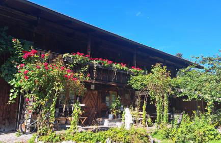 Ferienwohnung DachZeit - Foto 24