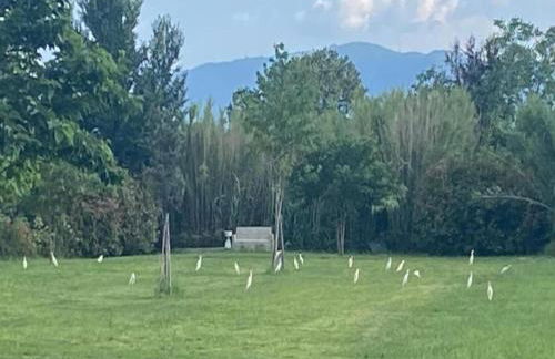 Modern Apartment in Agliana With Shared Garden - Foto 71