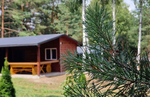 Domki Wrzosowe Wzgórza Nr2 - Foto 25