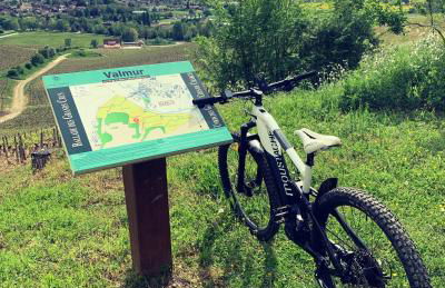 Maison de campagne entre vigne et bois - Foto 30