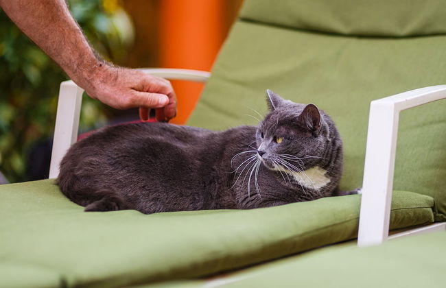 Kaam Accommodations - Foto 1