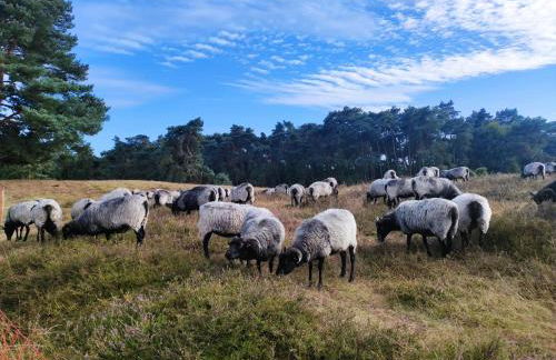 Mamat Ferienwohnungen - Foto 24