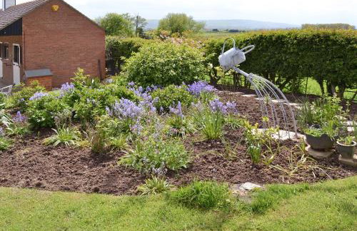 The Pavillion - Foto 27