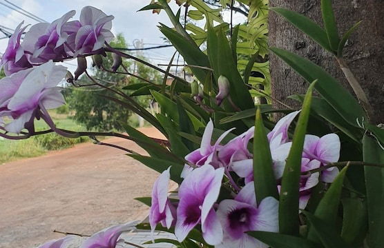 LY Residence Suite & Apartment - Photo 33