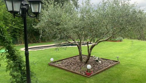 Cabanya en plena natura - Foto 3