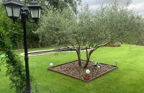 Cabanya en plena natura - Foto 3