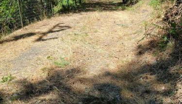 Cabin on Avenue of the Giants - Foto 4