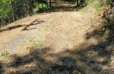 Cabin on Avenue of the Giants - Foto 4