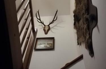 Babie Lato - Foto 53