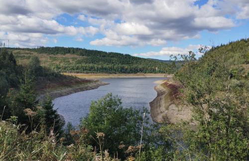 Waldgeflüster - Photo 3