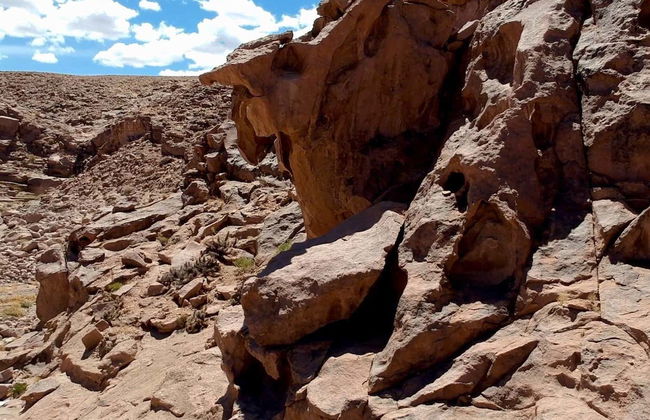 Day Trip to the Huasco Salt Flats + Tambillo - Photo 7