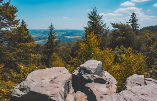 Waldgästehaus Externsteine - Foto 26
