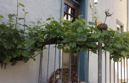 Winzerhäuschen, Weingut Th. Müller - Foto 16