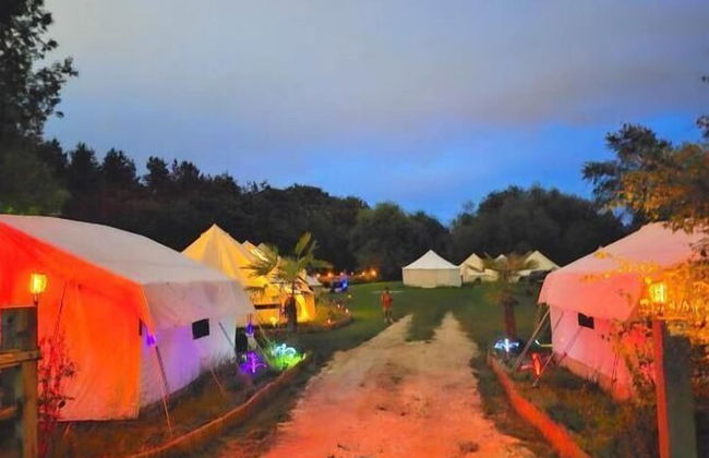 Bell Tent Village - Photo 67