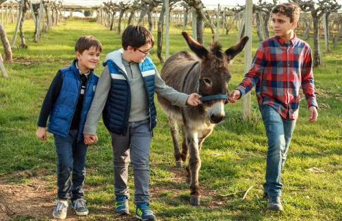 Azienda Agrituristica Il Pago - Foto 26