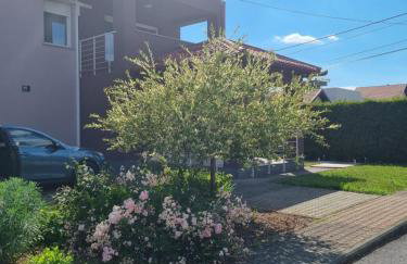 KFN Concept One - Foto 47