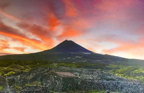 Adega da Prainha - Photo 37