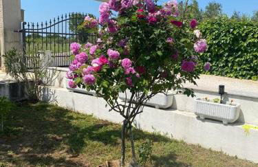 Villa Vlokje - Foto 12