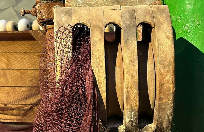 Visite guidée du musée de l'anchois avec dégustation - Photo 8