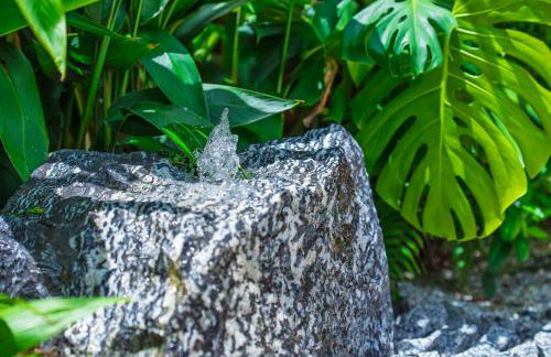 Private Retreat with Yard Near Hard Rock Stadium - Photo 22