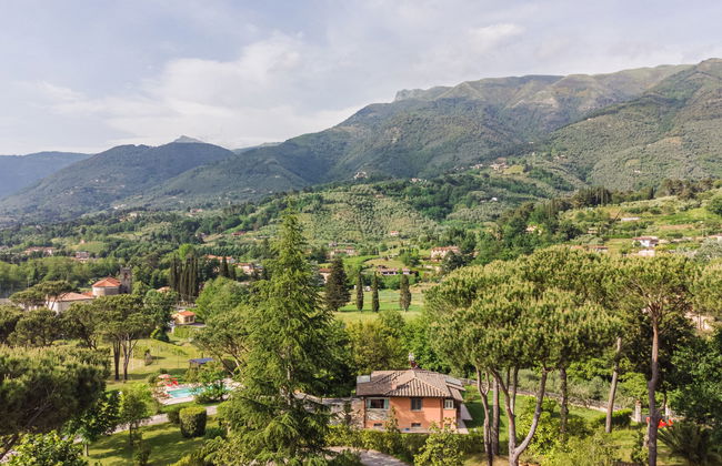 Verde Versilia - Foto 34