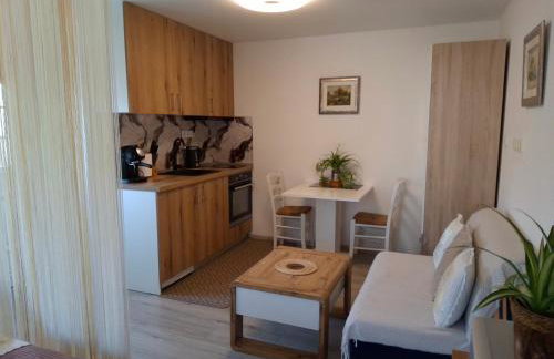 Apartman Sana - Foto 11