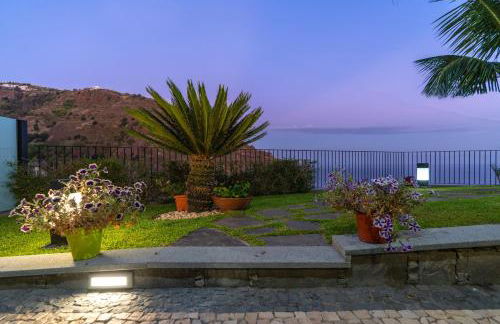 Zeza´s Garden - Photo 41