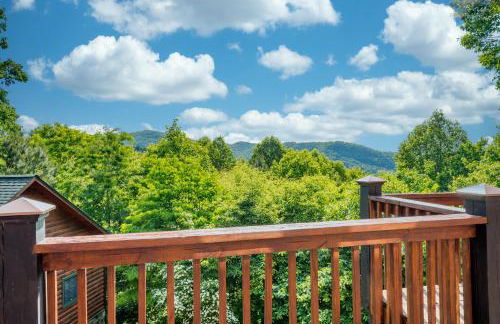 Willy Bear - Foto 35