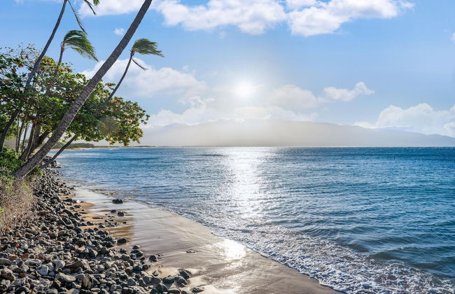 Kanai A Nalu 211 in Wailuku - Foto 44