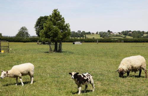 Rose Cottage - Foto 13