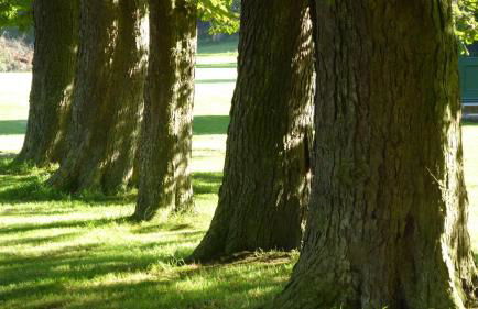 Gut-Rattelvitz-Galerie-F-hochwertig-Sauna-Kamin-eTankstelle-Spielscheune-15-000qm-Park-Land - Foto 40