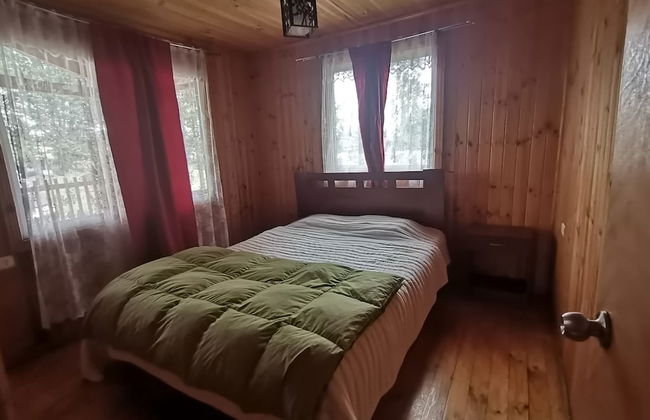 Cabañas EcoSur-Chile - Foto 2