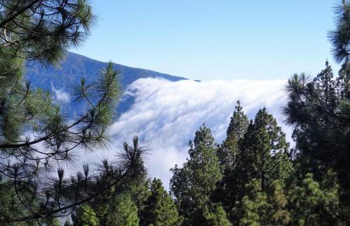 Casa Fagundo - Foto 28