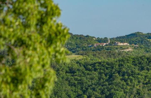 Nice Home In Buzet With Sauna - Photo 25