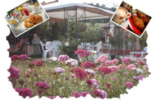 Affittacamere Pergolato di Sotto - Foto 10