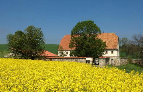 Lindenhof Michaelis - Urlaub auf dem historischen Gutshof - Foto 15