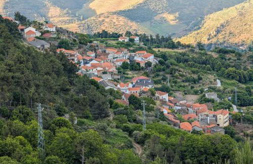 Bela Vista - Foto 27