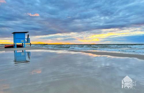 Patyki Kamyki - Foto 78