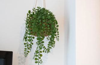 Kilmallie House - Foto 17