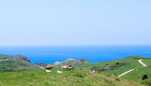 Apartamentos El Prau - Foto 3