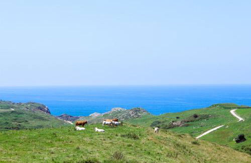 Apartamentos El Prau - Foto 3