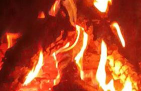 Agroturystyka Zaborski Sad - Foto 31